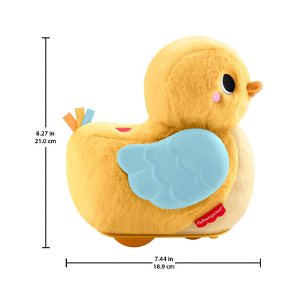 FISHER-PRICE 4 in 1 judanti antytė (JMX99)