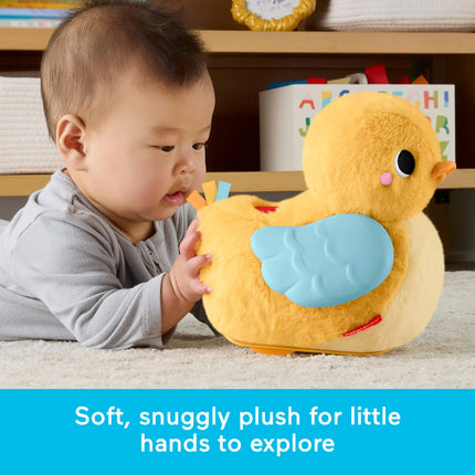 FISHER-PRICE 4 in 1 judanti antytė (JMX99)