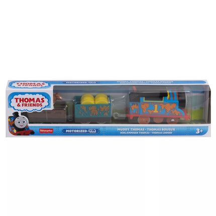 THOMAS AND FRIENDS motorizuotas teminis garvežiukas su vagonu (HFX97)