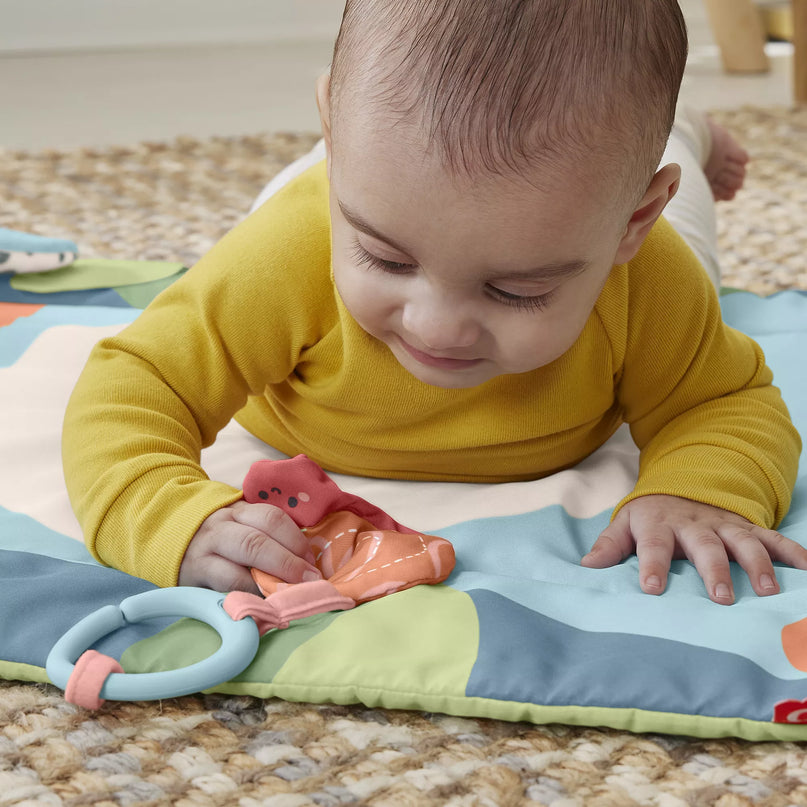 FISHER-PRICE veiklos kilimėlis – Panda (HKD65)