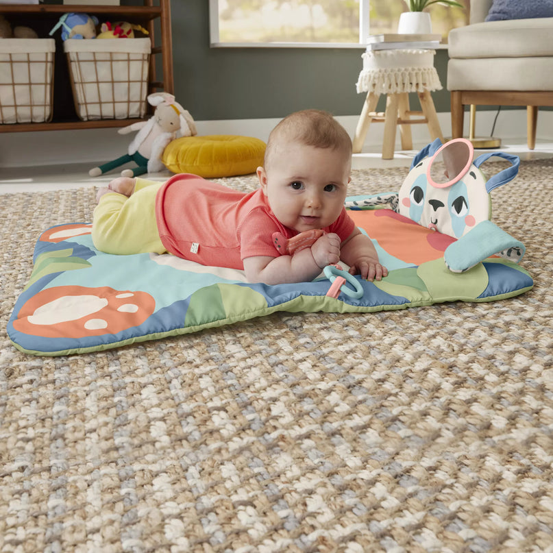 FISHER-PRICE veiklos kilimėlis – Panda (HKD65)