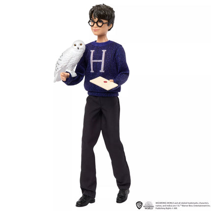 HARRY POTTER advento kalendorius (HND80)