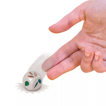 Žaidimas BEŽDŽIONĖLĖS AKROBATĖS (atnaujintas)  (HTW65)