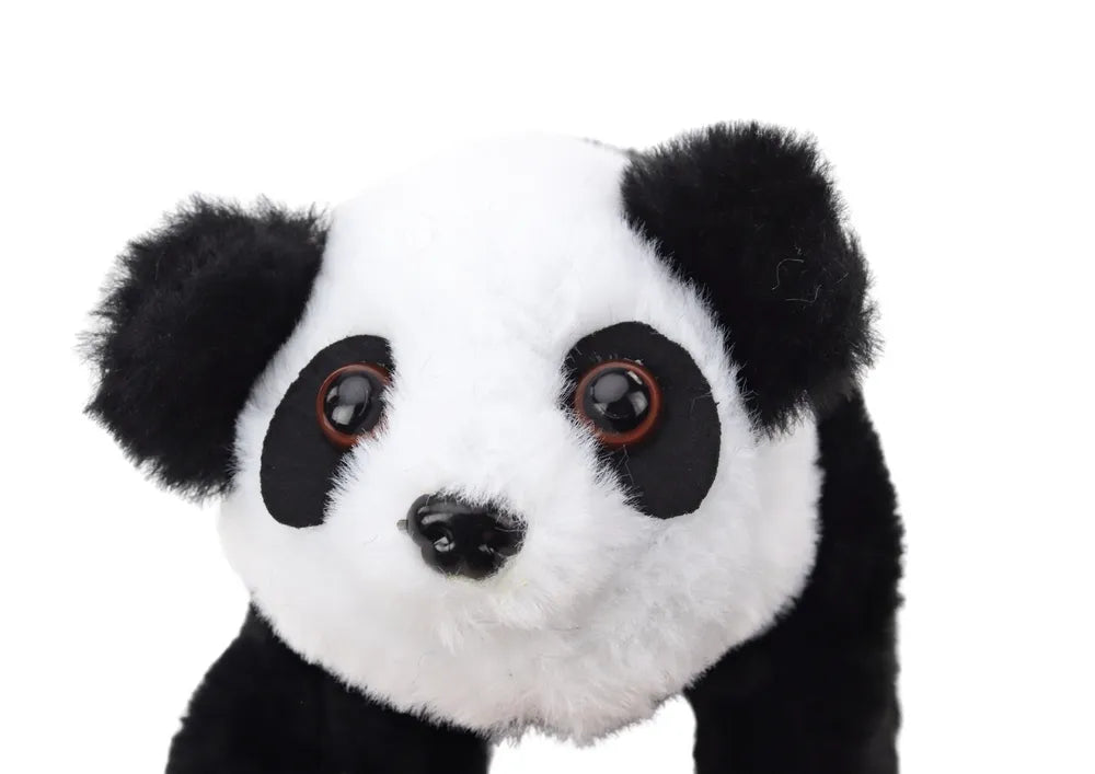 Interaktyvi pliušinė panda su rožiniu–mėlynu transporteriu
