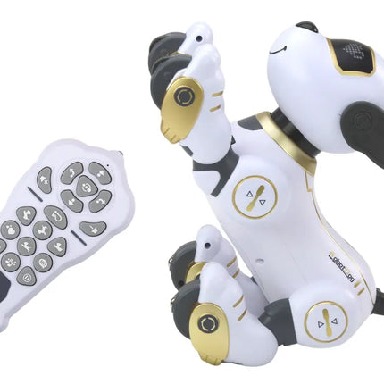 Interaktyvus nuotoliniu valdomas robotas–šuo