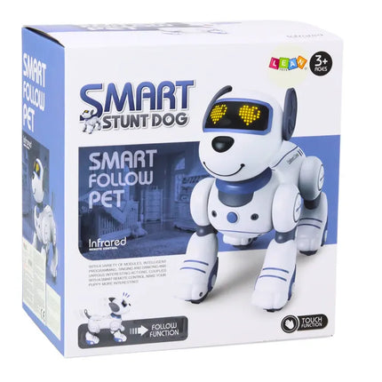 Interaktyvus nuotoliniu valdomas robotas–šuo