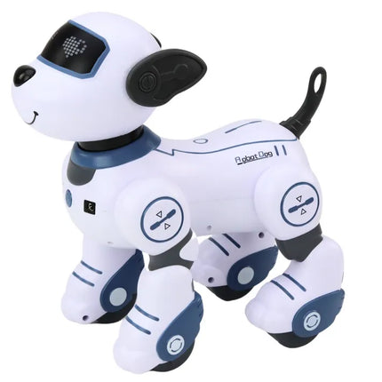 Interaktyvus nuotoliniu valdomas robotas–šuo