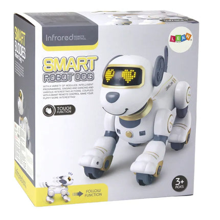 Interaktyvus nuotoliniu valdomas robotas–šuo