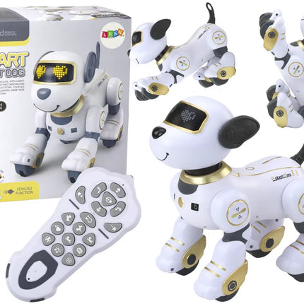 Interaktyvus nuotoliniu valdomas robotas–šuo