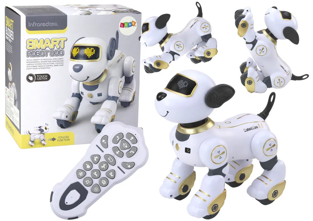 Interaktyvus nuotoliniu valdomas robotas–šuo