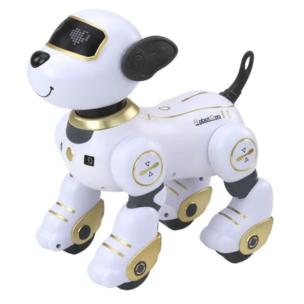 Interaktyvus nuotoliniu valdomas robotas–šuo