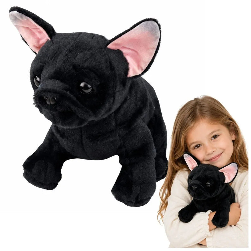 Juodas pliušinis prancūzų buldogas – 22 cm