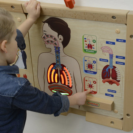 Masterkidz interaktyvi edukacinė lenta „Kvėpavimo sistema“ su šviesos efektais