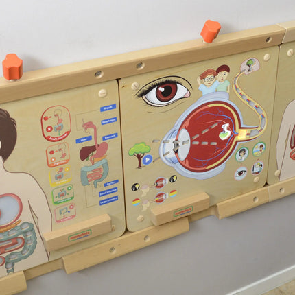 Masterkidz interaktyvi edukacinė lenta „Kvėpavimo sistema“ su šviesos efektais