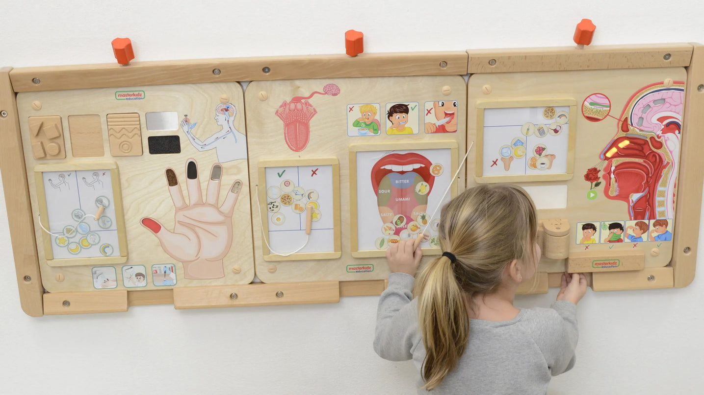 MASTERKIDZ Montessori sensorinė edukacinė lenta