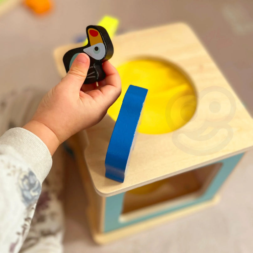 Montessori Play Box (31–36 mėn.) – atradimų, mokymosi ir kūrybos pasaulis vienoje dėžutėje