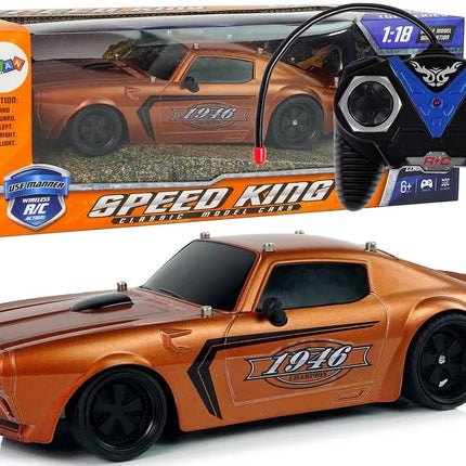 Nuotoliniu būdu valdomas sportinis automobilis 1:18 „Brown Champion Pilot“