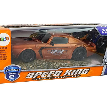 Nuotoliniu būdu valdomas sportinis automobilis 1:18 „Brown Champion Pilot“