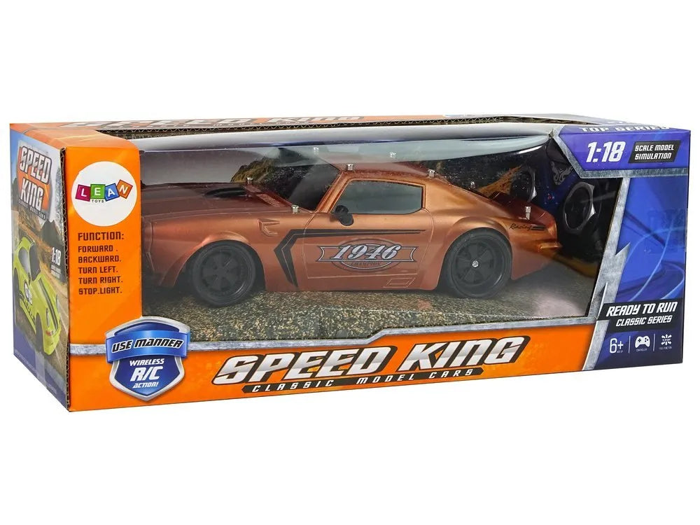 Nuotoliniu būdu valdomas sportinis automobilis 1:18 „Brown Champion Pilot“