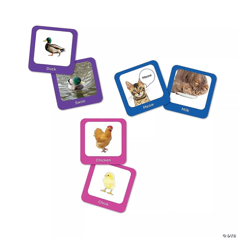 Atminties žaidimas „Seek-a-Boo“