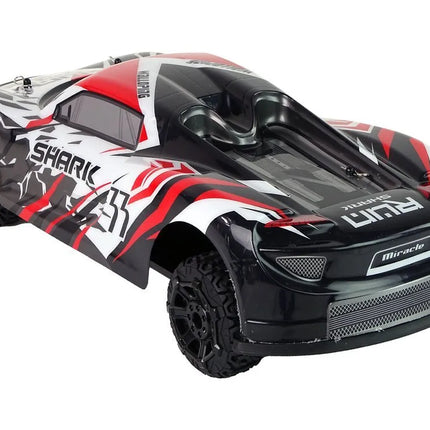 Sportinis R/C automobilis 1:8 – pilkas–baltas, didelis modelis
