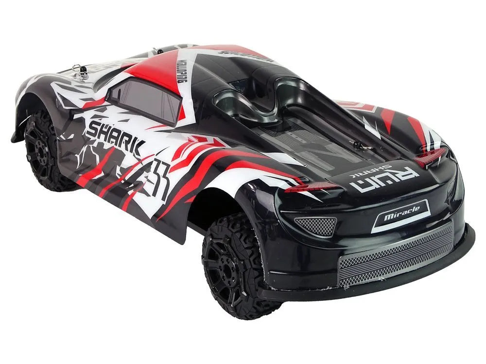 Sportinis R/C automobilis 1:8 – pilkas–baltas, didelis modelis