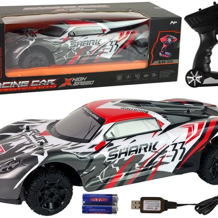 Sportinis R/C automobilis 1:8 – pilkas–baltas, didelis modelis