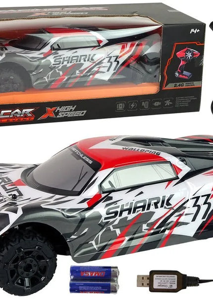 Sportinis R/C automobilis 1:8 – pilkas–baltas, didelis modelis