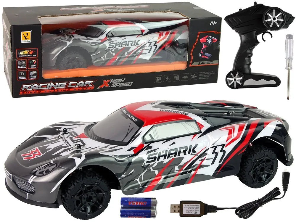 Sportinis R/C automobilis 1:8 – pilkas–baltas, didelis modelis
