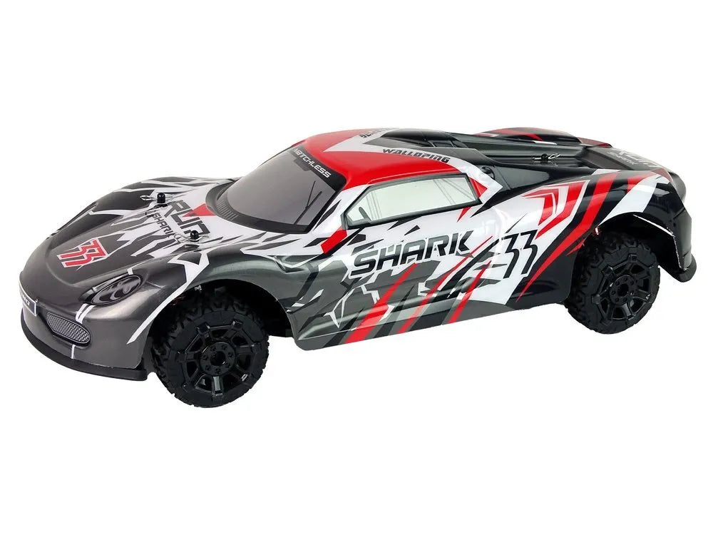 Sportinis R/C automobilis 1:8 – pilkas–baltas, didelis modelis