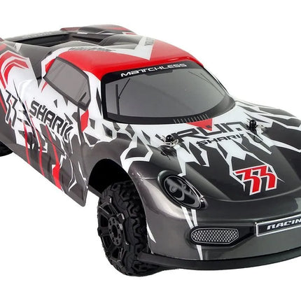 Sportinis R/C automobilis 1:8 – pilkas–baltas, didelis modelis