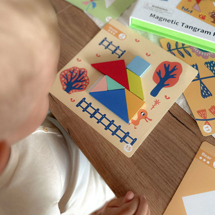 Tooky Toy magnetinė formų dėlionė