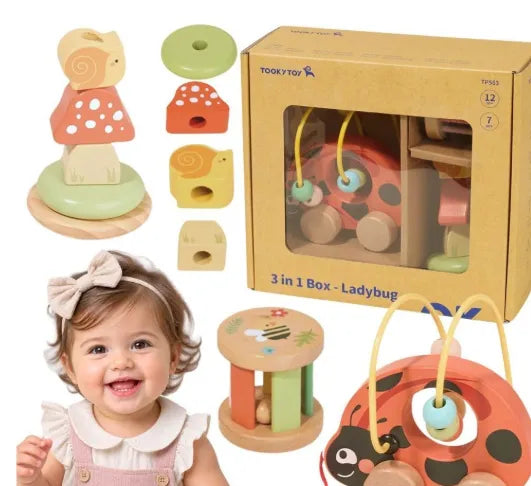 Tooky Toy medinis edukacinis rinkinys „Boružėlė 3‑in‑1“