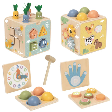 „TOOKY TOY“ medinis pavasario edukacinis kubas 5-in-1.