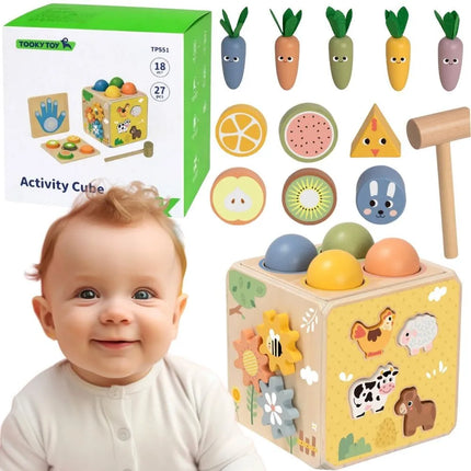 „TOOKY TOY“ medinis pavasario edukacinis kubas 5-in-1.
