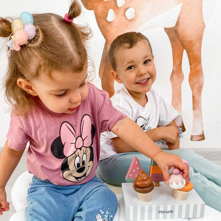 Viga medinių ledų rinkinys – 5 ledai ant pagaliuko + stovelis