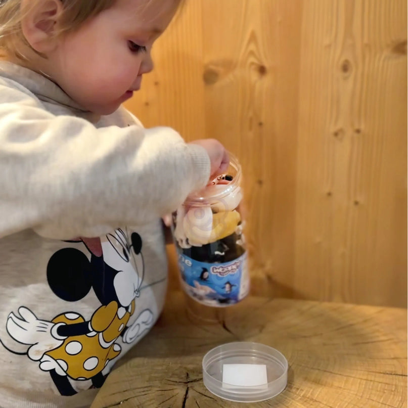 Woopie Arkties gyvūnų figūrėlių rinkinys