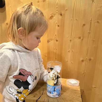 Woopie arktinių gyvūnų figūrėlių rinkinys (16 el.)