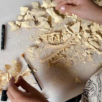 Woopie edukacinis archeologijos rinkinys „Stegozauro skamielinos“ (6+)