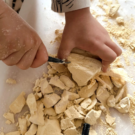 Woopie edukacinis archeologijos rinkinys „Stegozauro skamielinos“ (6+)