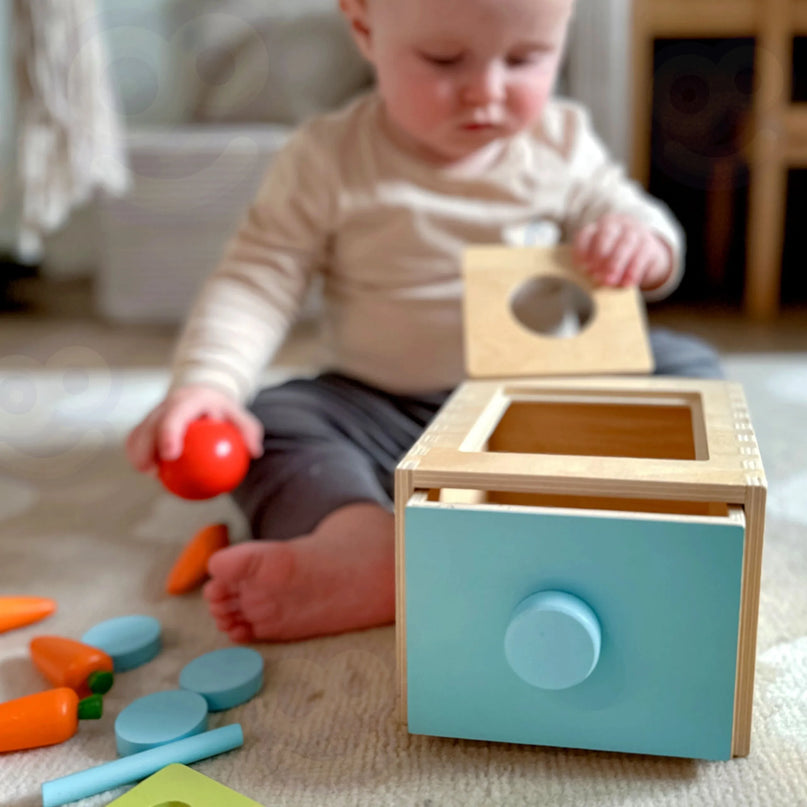 WOOPIE GREEN medinė edukacinė 4-in-1 Montessori rūšiavimo dėžutė „Morkų žaidimas“