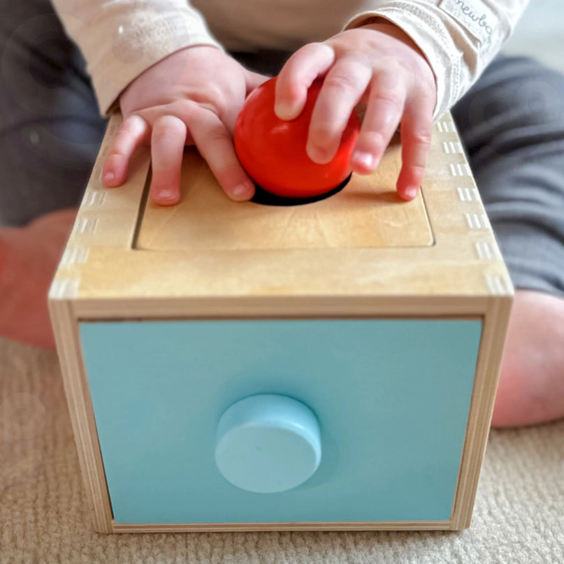 WOOPIE GREEN medinė edukacinė 4-in-1 Montessori rūšiavimo dėžutė „Morkų žaidimas“
